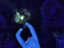 Renowacja klasztoru w Sąsiadowicach 2025