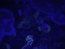 Renowacja klasztoru w Sąsiadowicach 2025