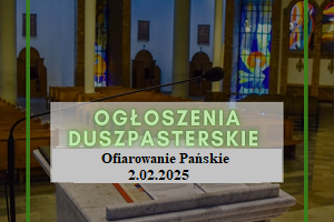 Ogloszenia