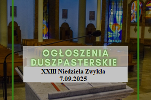 Ogloszenia